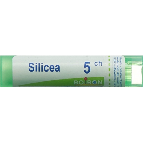 Boiron Silica Gran C 5 4 g buy online