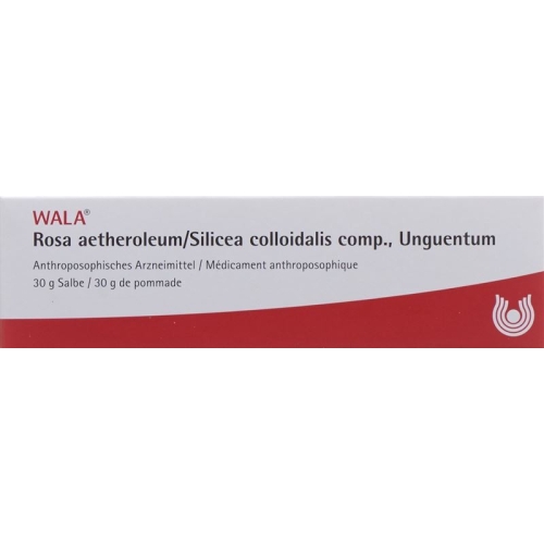 Wala Rosae aetherolum / Silica colloidalis ointment comp. Tb 30 g buy online