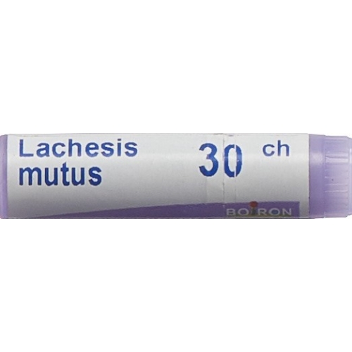 Boiron Lachesis mutus Glob C 30 1 Dos buy online