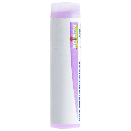 Boiron Borax Globuli C 30 1 Dos buy online