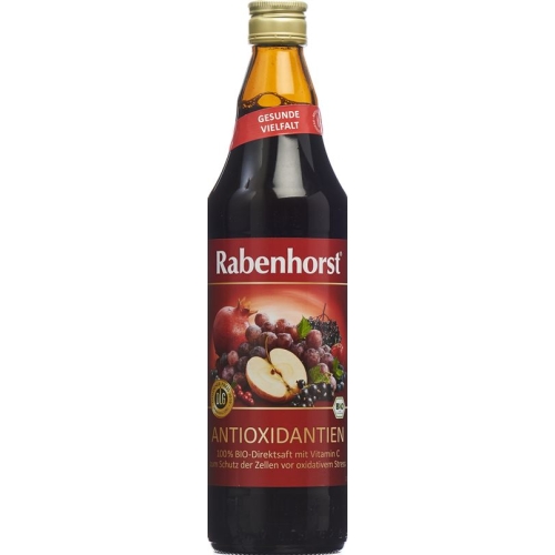 Rabenhorst antioxidants juice bio 7.5 dl buy online