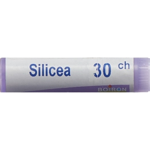 Boiron Silicea Globuli C 30 1 Dos buy online