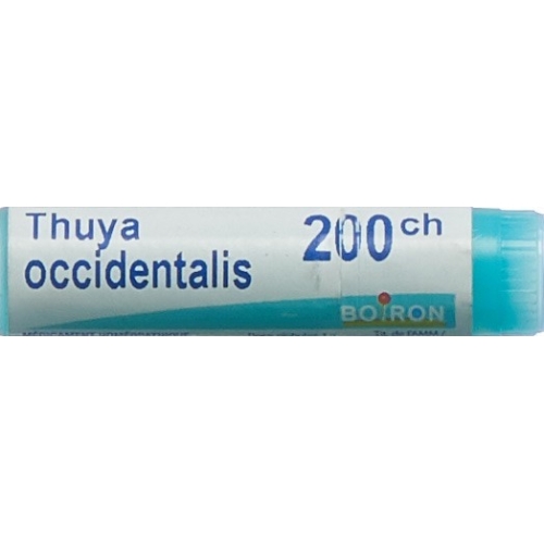 Boiron Thuya Occidentalis Globuli C 200 1 Dos buy online