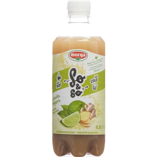 So&so Limette-Ingwer Konzentrat mit Stevia Flasche 5dl buy online