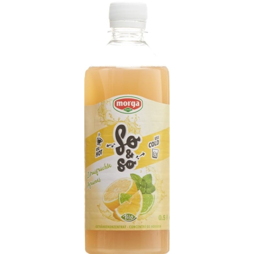 So&so Zitrusfrüchte Konzentrat Bio Flasche 5dl buy online