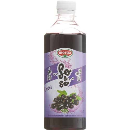 So&so Cassis Konzentrat Bio Flasche 5dl buy online