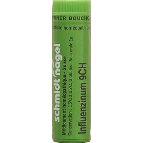 Sn Influenzinum Globuli Ch 9 17/18 Tube 1g buy online