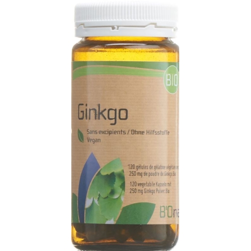 Bionaturis Ginkgo 250mg Flasche 120 Stück buy online