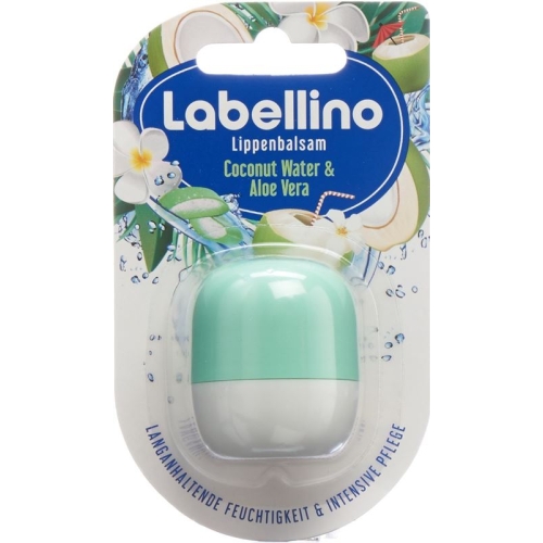 Labello Labellino Aloe Vera & Coconut Water 7g buy online