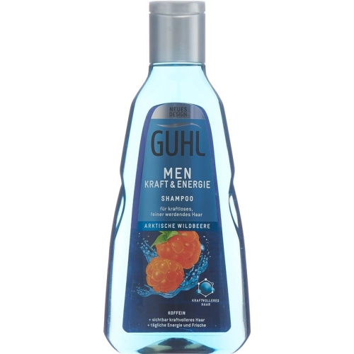 Guhl Men Kraft & Energie Shampoo (neu) Flasche 250ml buy online