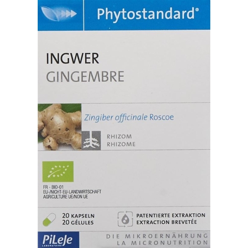 Phytostandard Ginger capsules organic 20 pieces buy online