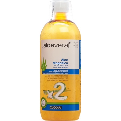 Zuccari Aloe Magnifica Flasche 1L buy online