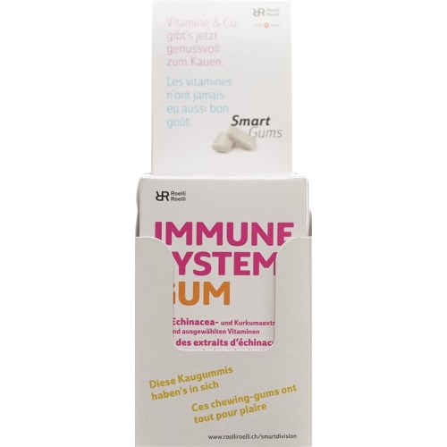 R&r Immune System Gum 10x 24 Stück buy online