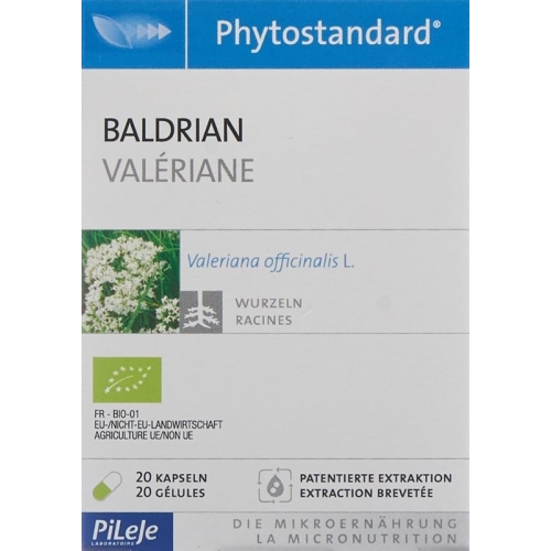 Phytostandard Baldrian Kapseln Bio 20 Stück buy online