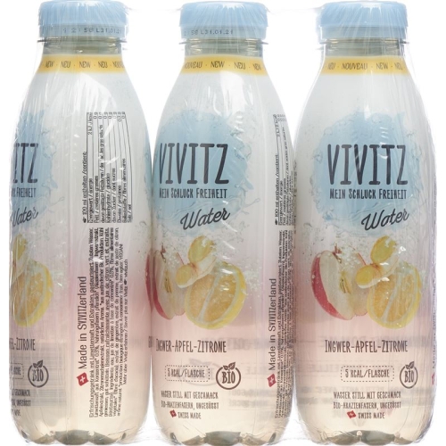 Vivitz Water Ingwer-apfel-zitrone 6 Flasche 0.5L buy online