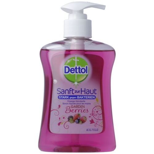 Dettol Pump-Seife Gardenberries 250ml buy online