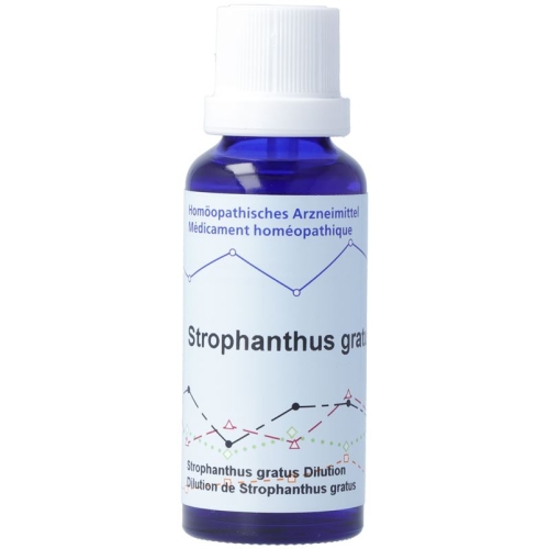 Phytomed Strophanthus Gratus D 4 Mft Flasche 30ml buy online