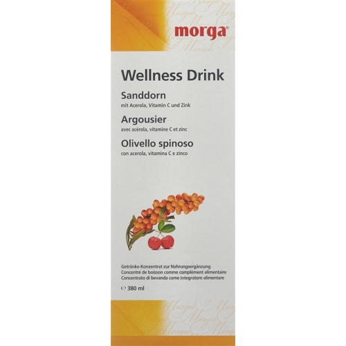 Morga Sanddorn Wellness Drink Flasche 380ml buy online