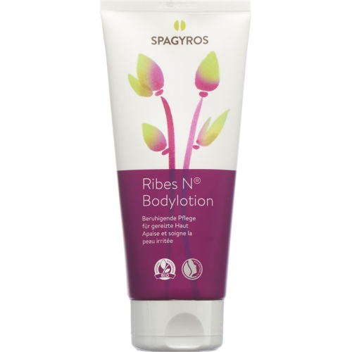 Spagyros Ribes N Bodylotion Tube 200ml buy online