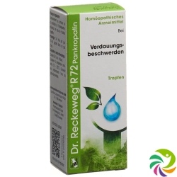 Reckeweg R72 Pankropatin Tropfen Flasche 50ml