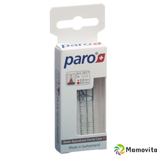 Paro Isola Long 8mm Medium Grün zylindrisch 5 Stück buy online