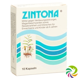 Zintona 10 Kapseln