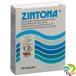 Zintona Kapseln 20 Stück