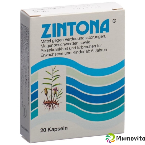 Zintona Kapseln 20 Stück buy online