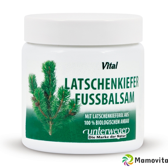 Tiroler Latschenk Fussbalsam Topf 100ml buy online