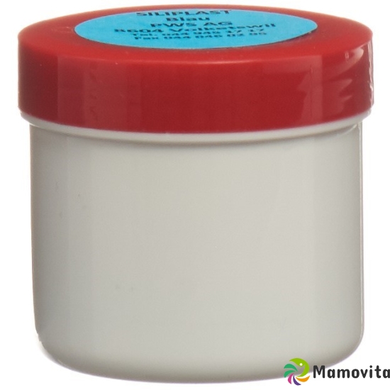 Siliplast Paste No 300 Normal Mittelbl 55g buy online