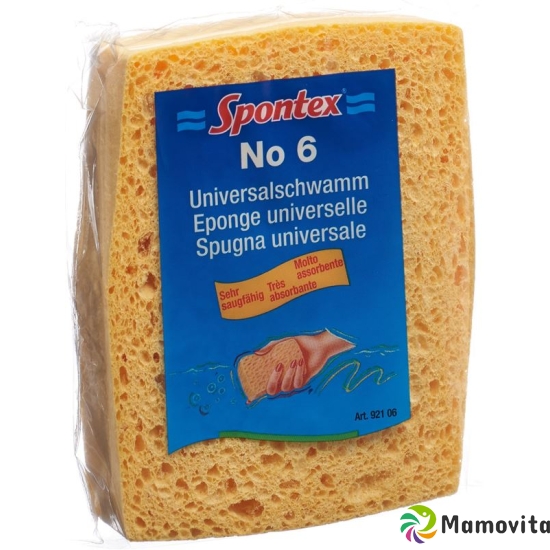 Spontex universal sponge buy online