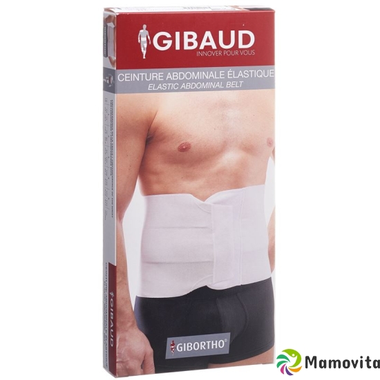 Gibaud Leibgürtel Velcro 24cm 76-90cm Weiss buy online