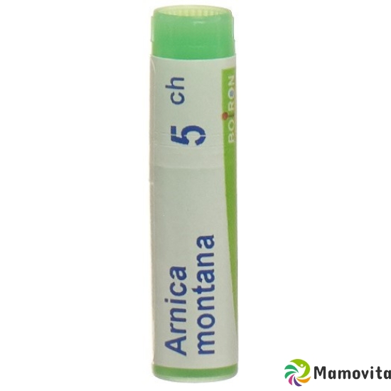 Boiron Arnica Montana Globuli C 5 1 Dos buy online