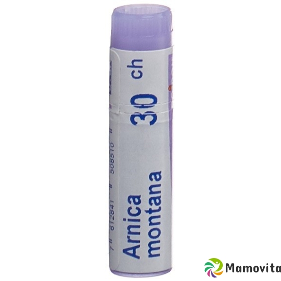 Boiron Arnica Montana Globuli C 30 1 Dos buy online