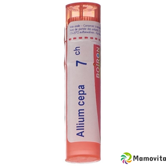 Boiron Allium Cepa Granulat C 7 4g buy online