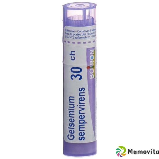 Boiron Gelsemium Sempervirens Granulat C 30 4g buy online