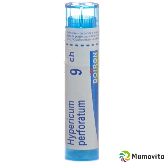 Boiron Hypericum Perforatum Granulat C 9 4g buy online