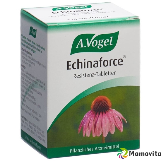 Vogel Echinaforce 120 Tabletten buy online