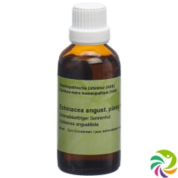 Spagyros Echinacea Angustifol Urtinkt 50ml