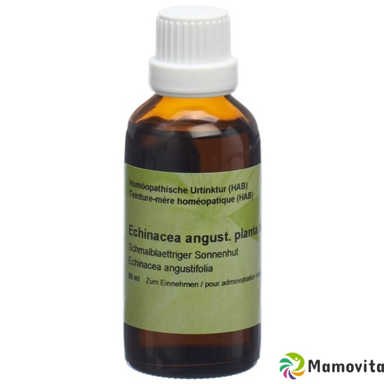 Spagyros Echinacea Angustifol Urtinkt 50ml buy online