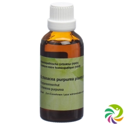 Spagyros Echinacea Purpurea Urtinkt 50ml