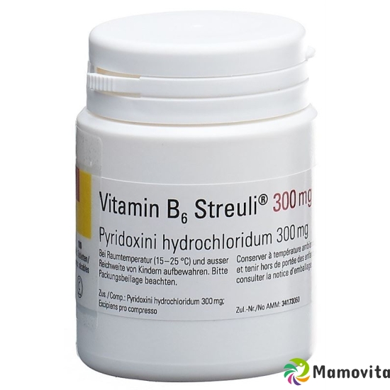 Vitamin B6 Streuli Tabletten 300mg 100 Stück buy online