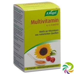 Multivitamin Kapseln 60 Stück