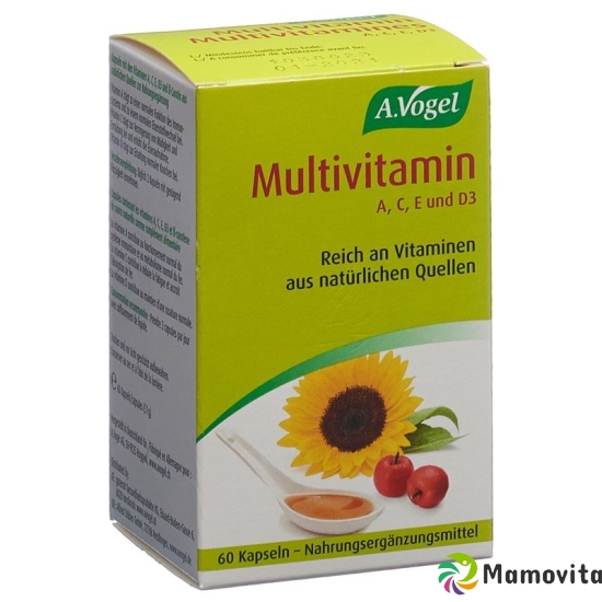 Multivitamin Kapseln 60 Stück buy online