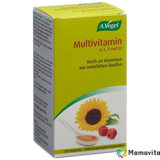 Multivitamin Kapseln 120 Stück buy online