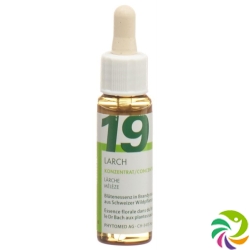 Phytomed Bachblüten No19 Laerche Flasche 10ml