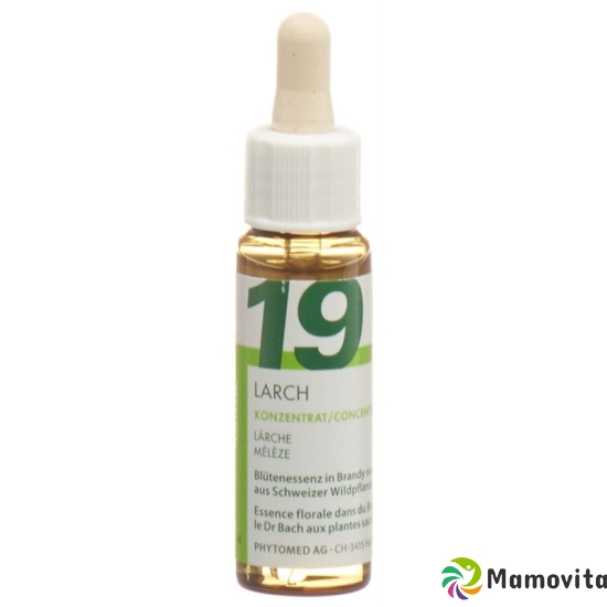 Phytomed Bachblüten No19 Laerche Flasche 10ml buy online