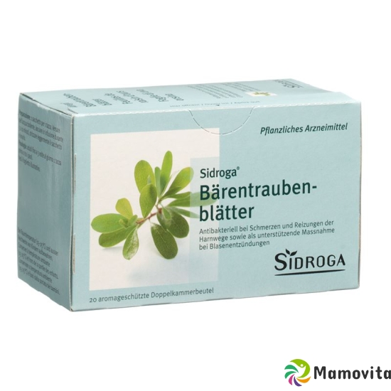 Sidroga Baerentraubenblätter Tee Beutel 20 Stück buy online