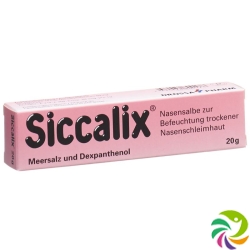 Siccalix Nasensalbe 20g