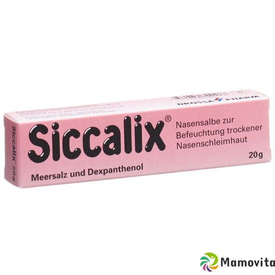 Siccalix Nasensalbe 20g buy online